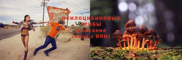 тгк Богородск