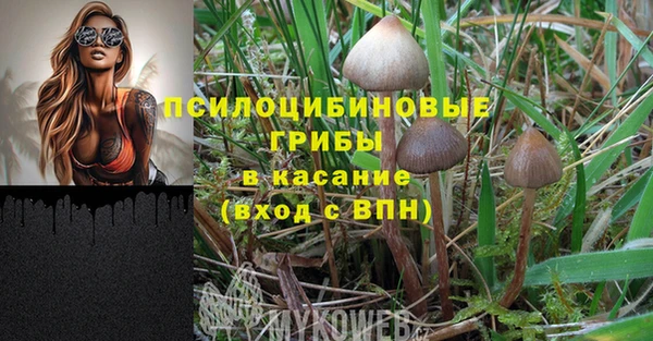 тгк Богородск