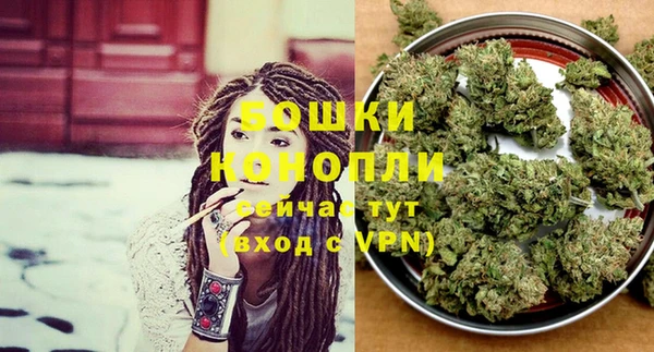 тгк Богородск