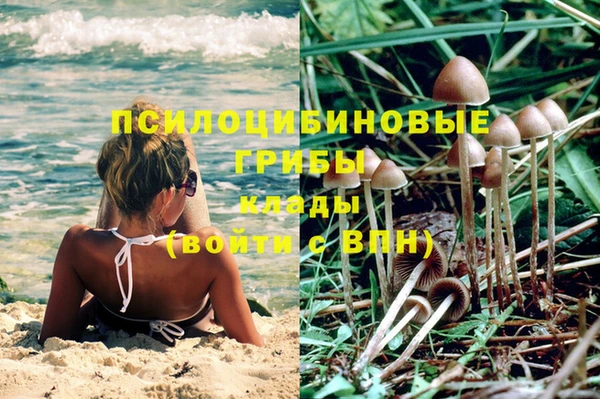 тгк Богородск